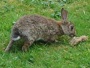 e0018350_1575072.jpg