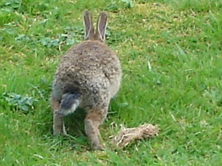 e0018350_1582384.jpg