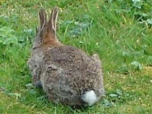 e0018350_1591219.jpg