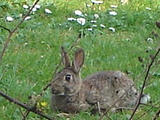 e0018350_201419.jpg