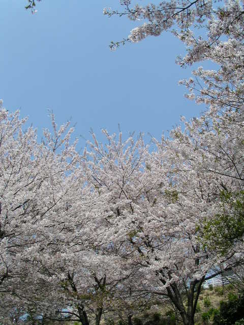 f0074659_23223598.jpg