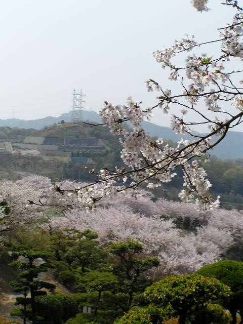 f0074659_23261165.jpg