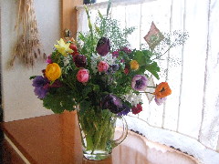 c0055363_1881110.jpg