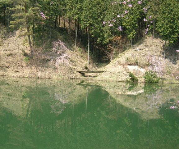 a0091666_2249158.jpg