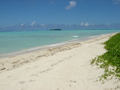 c0102268_2325674.jpg