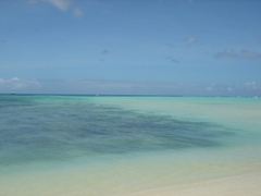 c0102268_2331127.jpg