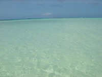 c0102268_23314270.jpg
