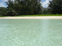 c0102268_23315678.jpg