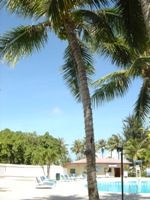 c0102268_233222100.jpg