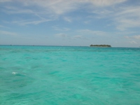 c0102268_23542496.jpg