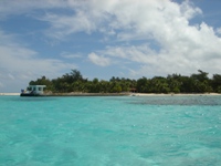 c0102268_23544628.jpg