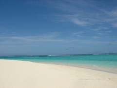 c0102268_23552431.jpg