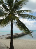 c0102268_23554578.jpg