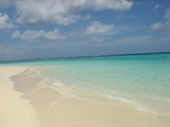 c0102268_23555590.jpg