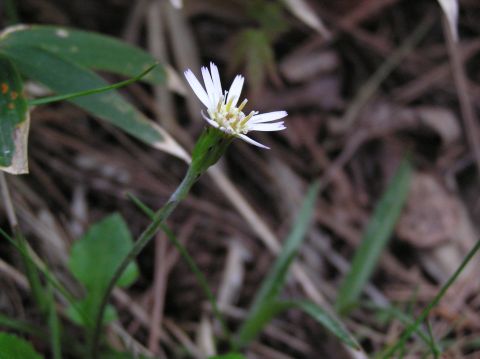 c0042869_1746196.jpg