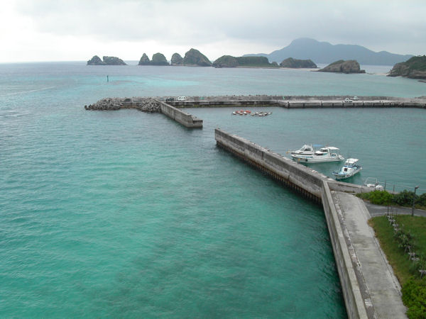 d0114375_17465612.jpg