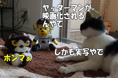 b0041182_03685.jpg