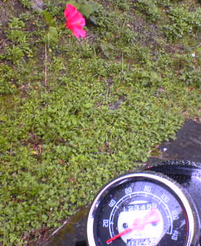 f0137483_17563235.jpg