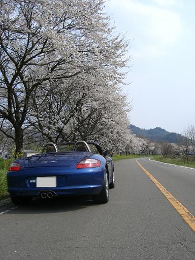 f0068291_16454091.jpg