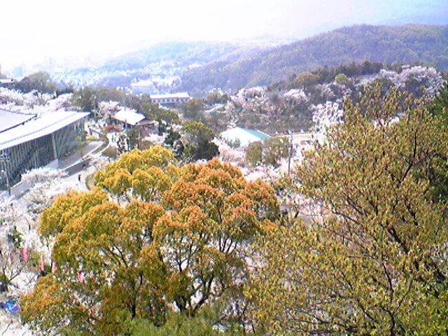 f0045494_2343525.jpg