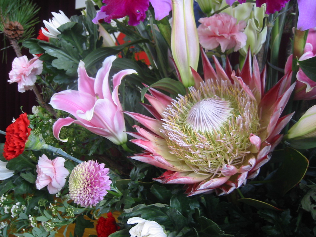 f0013998_5361787.jpg