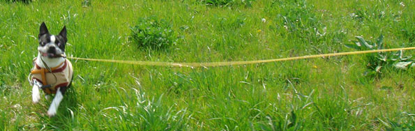 c0094999_4342788.jpg