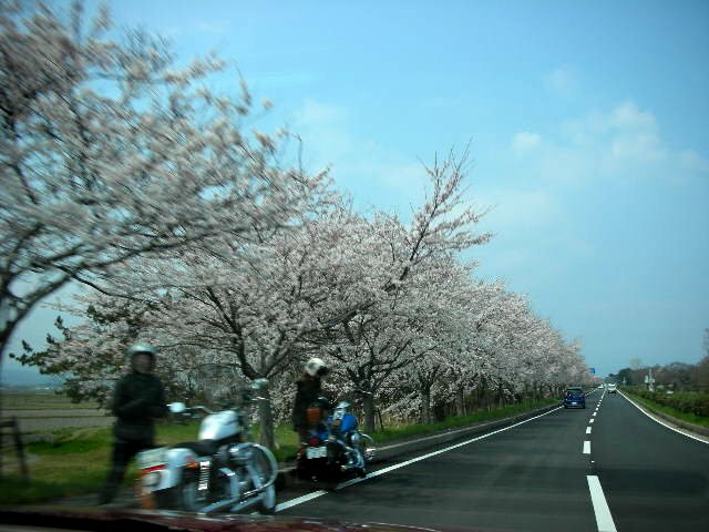 f0083400_15415177.jpg