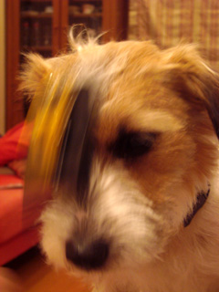 f0080105_22582089.jpg