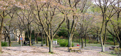 e0024206_22331839.jpg