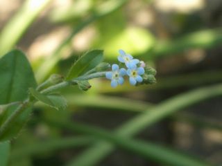 b0061107_014203.jpg