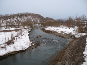 d0051707_765731.jpg