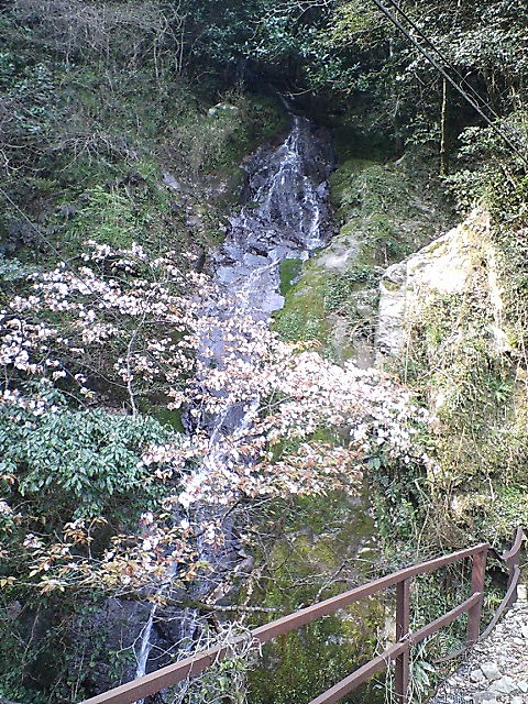 e0001907_2234971.jpg