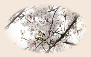 f0114717_202517.jpg
