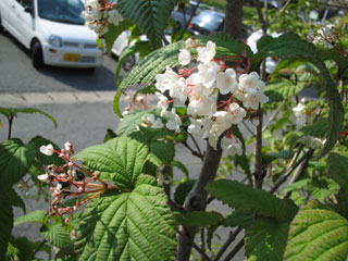 c0103119_17102694.jpg