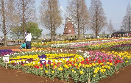a0053420_22545720.jpg