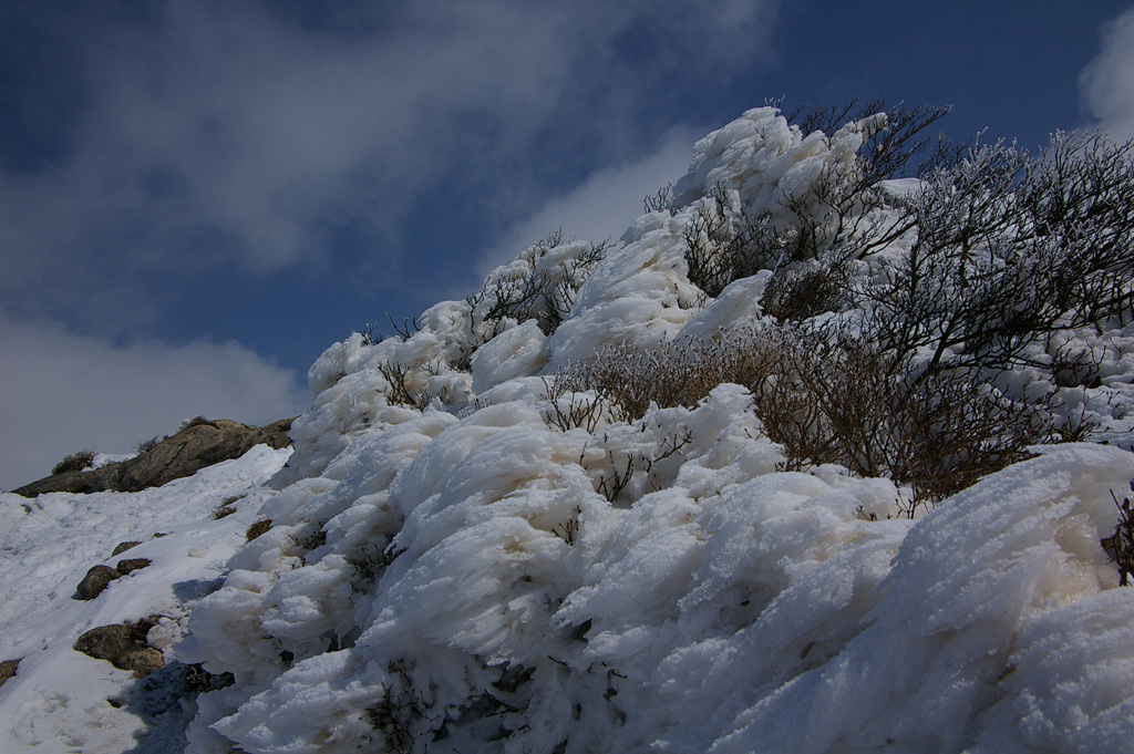 b0062024_2133718.jpg