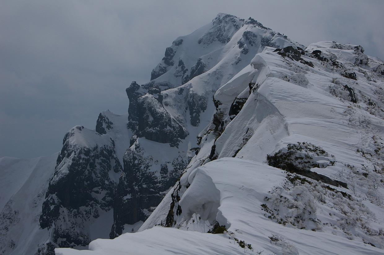 b0062024_21425886.jpg