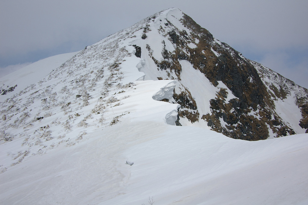b0062024_21455817.jpg