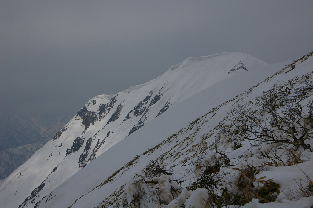b0062024_21475045.jpg