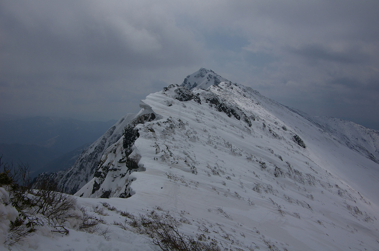 b0062024_2147939.jpg