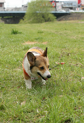 e0071225_0295654.jpg