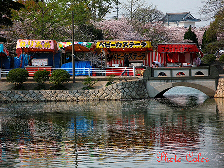 f0078127_771999.jpg