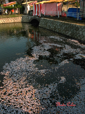 f0078127_781189.jpg