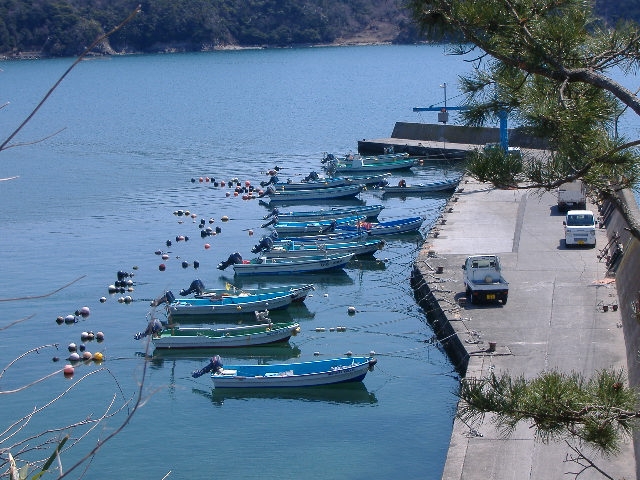 d0112533_1655779.jpg