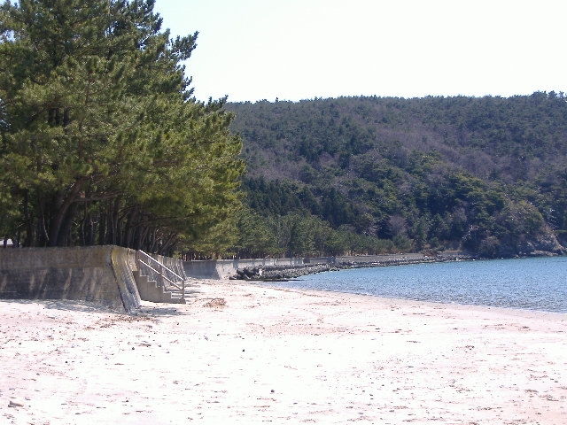 d0112533_172978.jpg