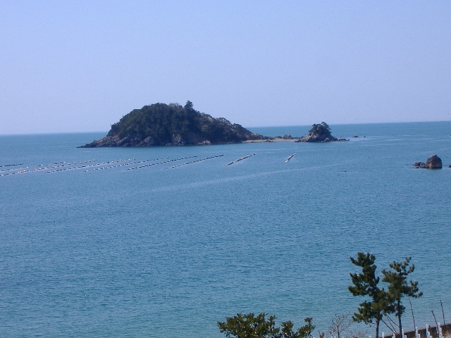 d0112533_1731211.jpg