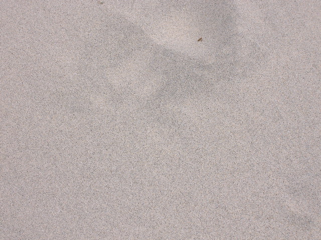 d0112533_176328.jpg