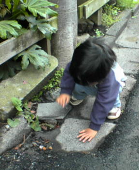 f0048834_1495836.jpg
