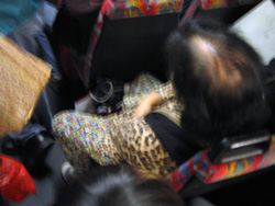 a0023740_20251788.jpg