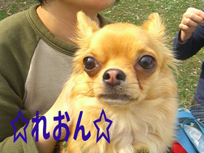 c0115145_21312238.jpg